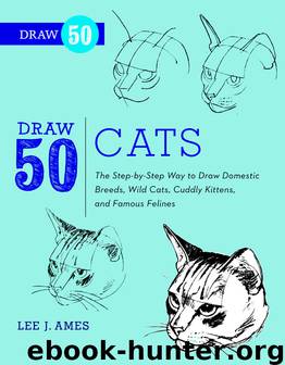 Draw 50 Cats by Lee J. Ames