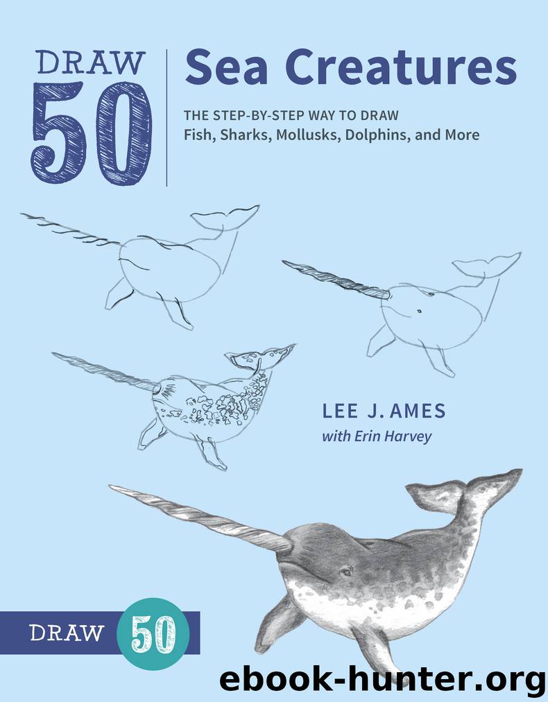 Draw 50 Sea Creatures by Lee J. Ames