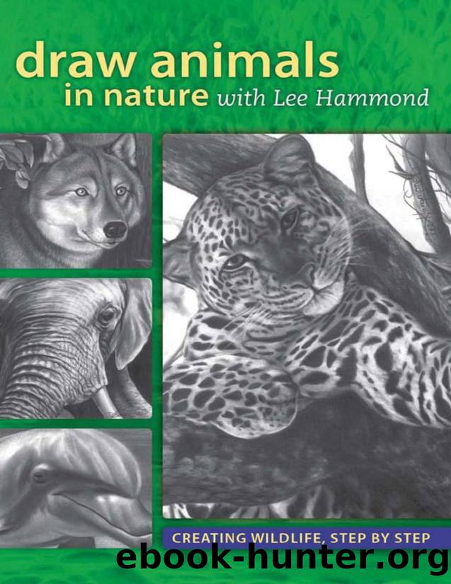 Draw Animals in Nature by Unknown