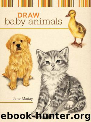 Draw Baby Animals