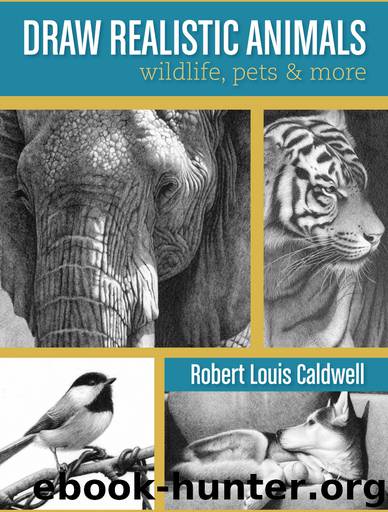 Draw Realistic Animals by Robert Louis Caldwell