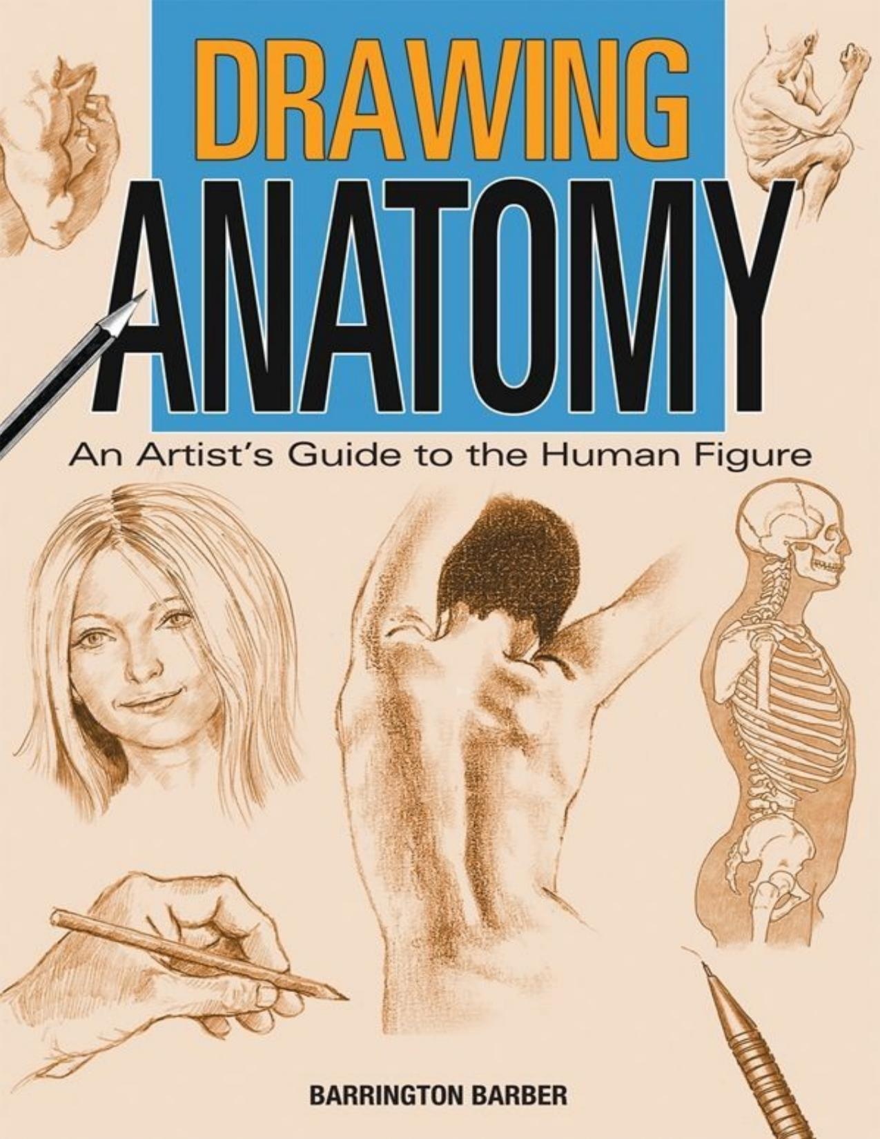 Drawing Anatomy by Barrington Barber