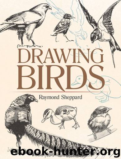 Drawing Birds by Raymond Sheppard