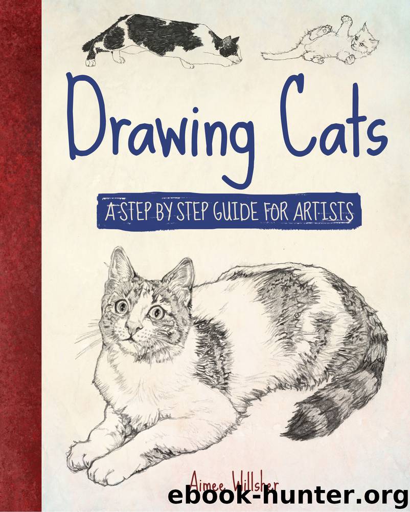 Drawing Cats by Aimee Willsher