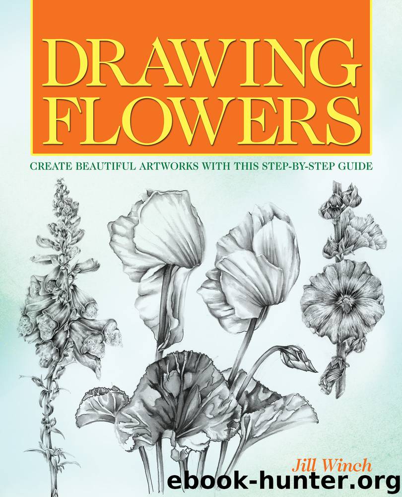 Drawing Flowers by Jill Winch