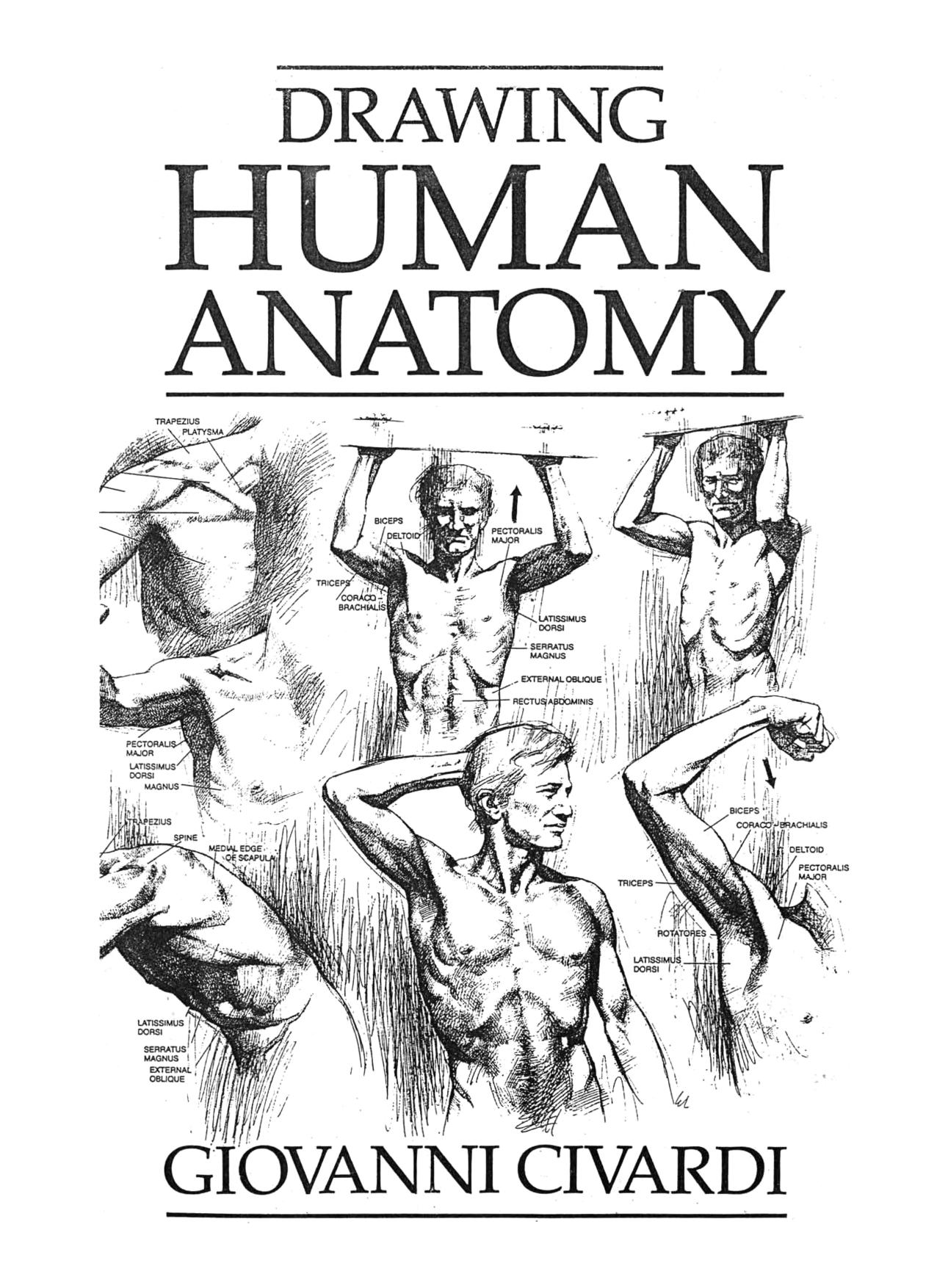Drawing Human Anatomy by Giovanni Civardi