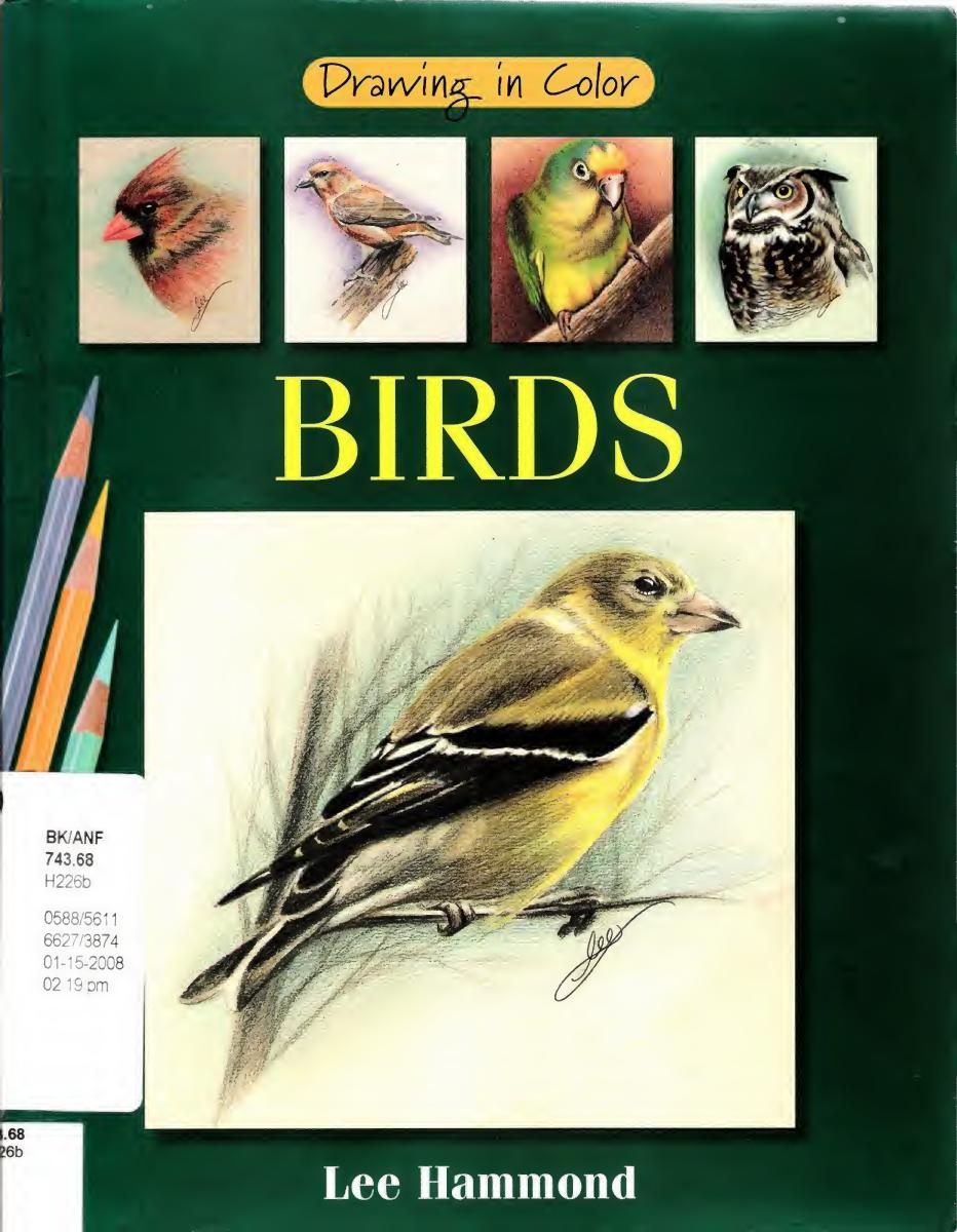 Drawing In Color Birds by fneah