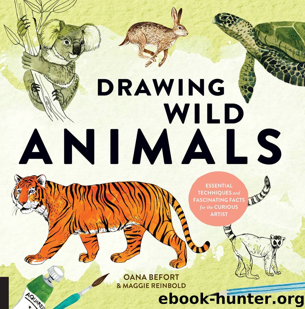 Drawing Wild Animals by Oana Befort