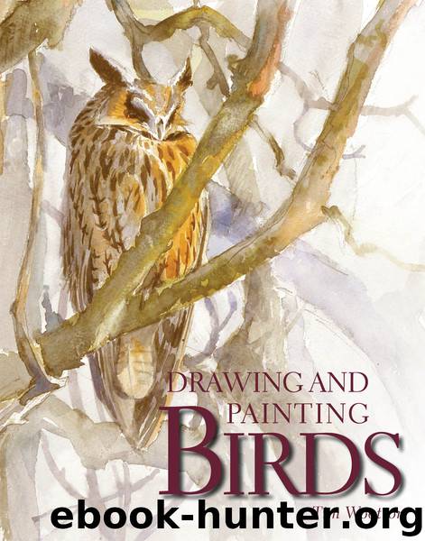 Drawing and Painting Birds by Tim Wootton