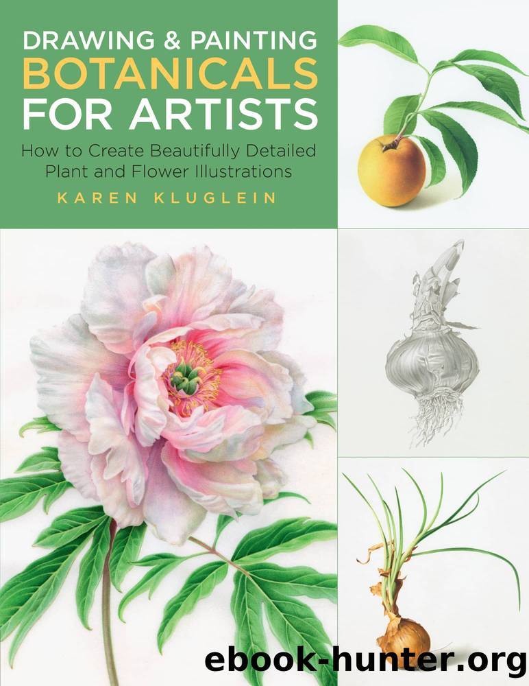 Drawing and Painting Botanicals for Artists: How to Create Beautifully Detailed Plant and Flower Illustrations by Karen Kluglein