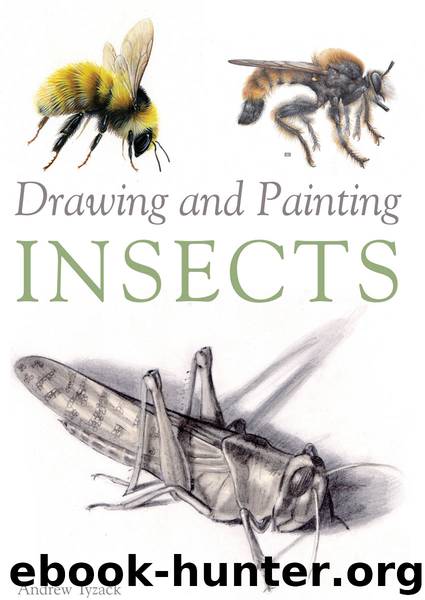 Drawing and Painting Insects by Andrew Tyzack