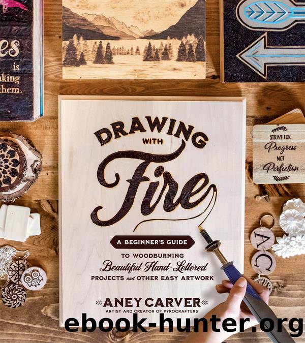 Drawing with Fire by Aney Carver
