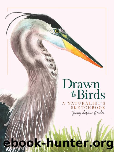 Drawn to Birds: A Naturalistâs Sketchbook by Jenny deFouw Geuder