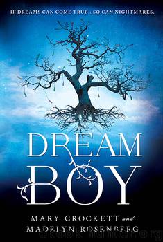 Dream Boy by Madelyn Rosenberg