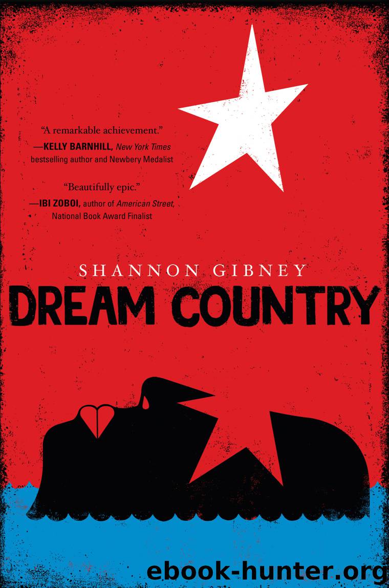 Dream Country by Shannon Gibney