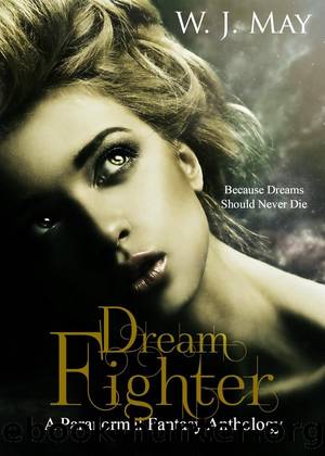 Dream Fighter by W.J. May