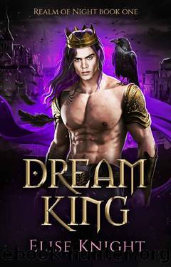 Dream King: An Enemies to Lovers Fantasy Romance (Realm of Night Book 1) by Elise Knight