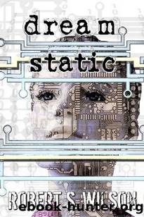 Dream Static by Robert S. Wilson