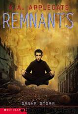 Dream Storm by K.A. Applegate