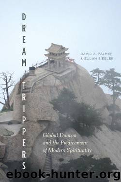 Dream Trippers: Global Daoism and the Predicament of Modern Spirituality by David A. Palmer & Elijah Siegler