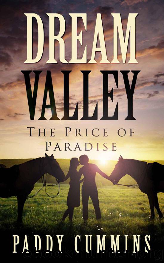 Dream Valley by Cummins Paddy