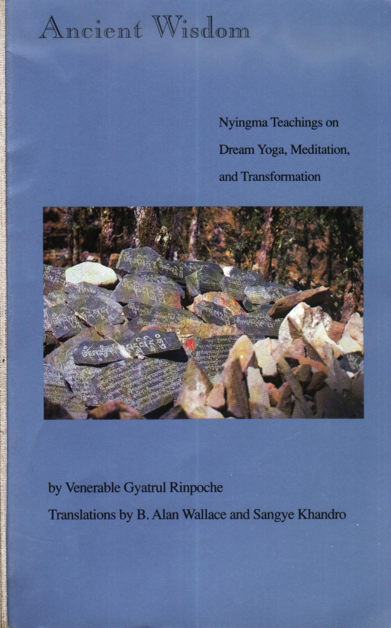 Dream Yoga Meditation and Transformation Gyatrul Rinpoche by Unknown