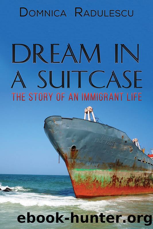 Dream in a Suitcase by Domnica Radulescu
