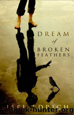 Dream of Broken Feathers by Jeff Edrich
