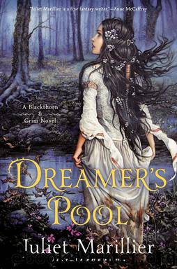 Dreamer's Pool A Blackthorn & Grim Novel by Juliet Marillier