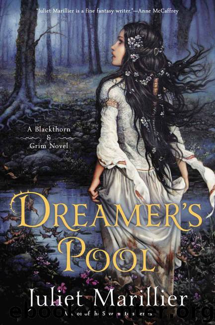 Dreamer's Pool: A Blackthorn & Grim Novel by Juliet Marillier