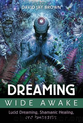 Dreaming Wide Awake by David Jay Brown