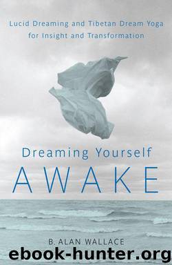 Dreaming Yourself Awake: Lucid Dreaming and Tibetan Dream Yoga for Insight and Transformation by Wallace B. Alan & Hodel Brian