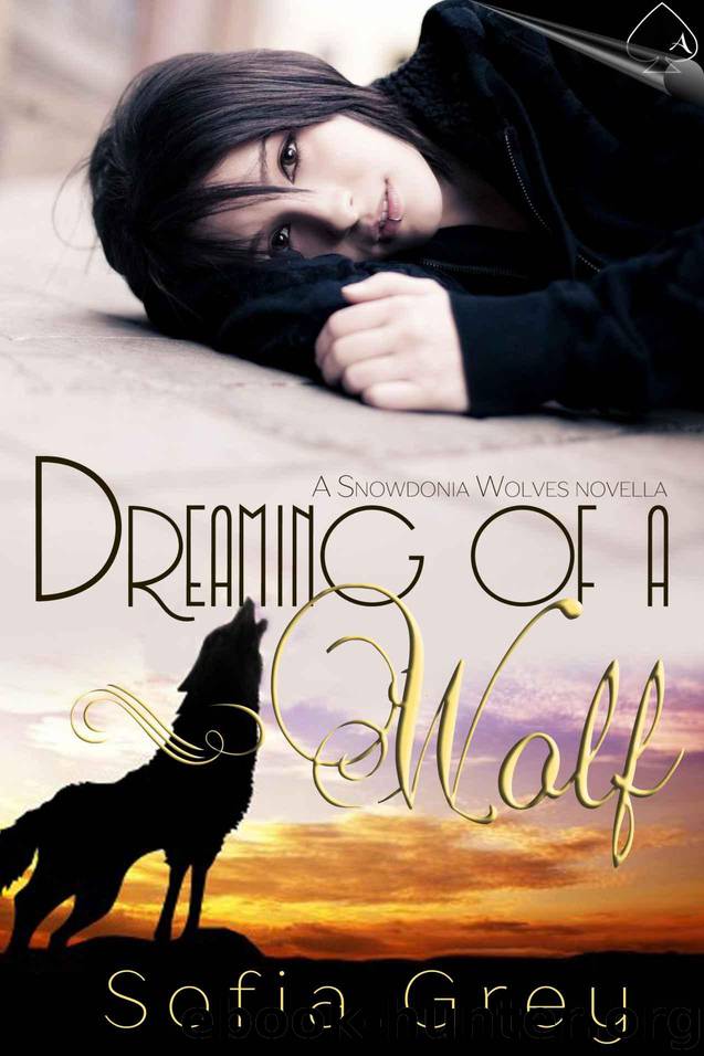 Dreaming of a Wolf by Grey Sofia