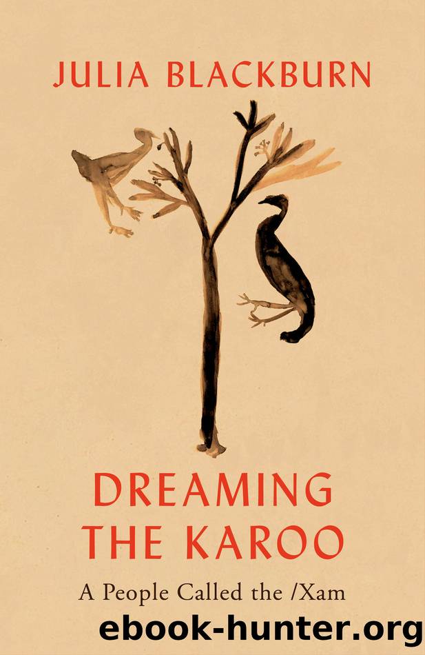 Dreaming the Karoo by Julia Blackburn