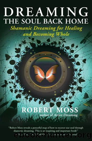 Dreaming the Soul Back Home by Robert Moss