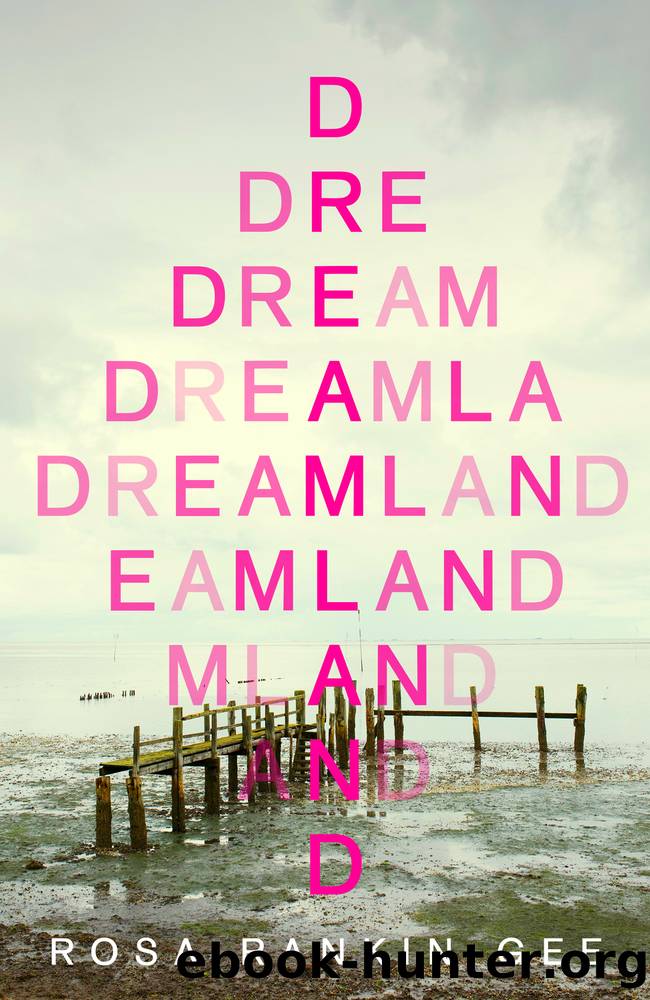 Dreamland by Rosa Rankin-Gee
