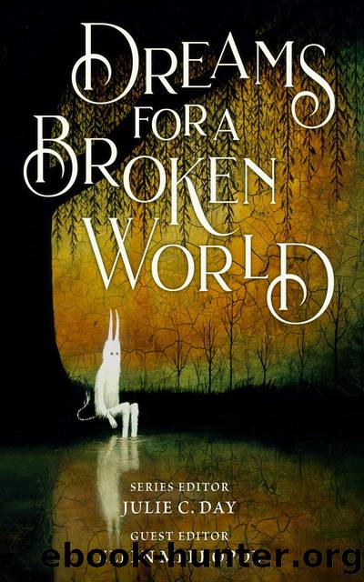 Dreams for a Broken World by Julie C. Day