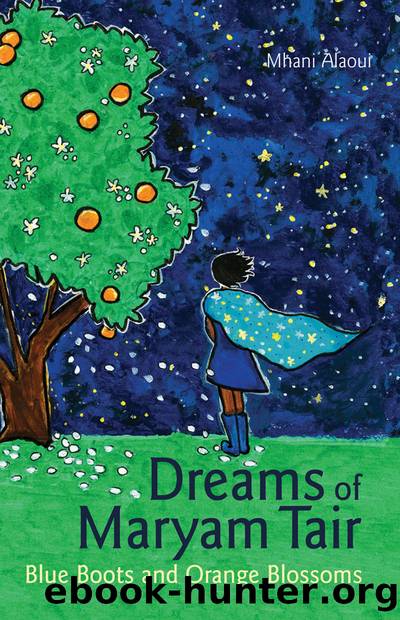 Dreams of Maryam Tair by Mhani Alaoui