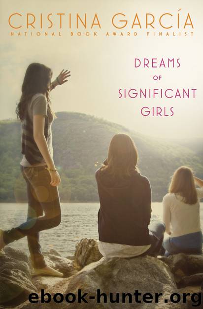 Dreams of Significant Girls by Cristina Garcia