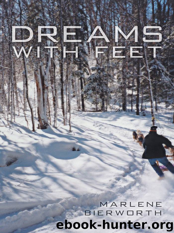 Dreams with Feet by marlene bierworth