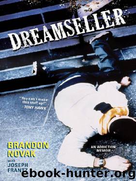 Dreamseller by Brandon Novak