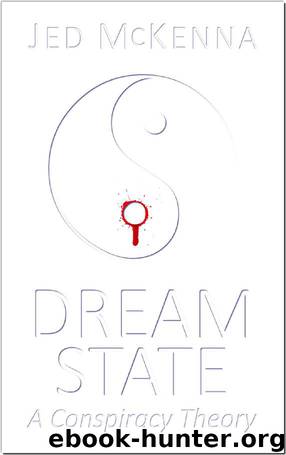 Dreamstate: A Conspiracy Theory (The Dreamstate Trilogy Book 3) by Jed McKenna