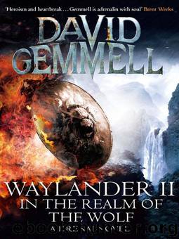 Drenai 05 - In the Realm of the Wolf by David Gemmell
