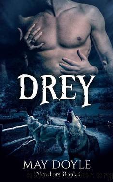 Drey (Numbers Book 2) by May Doyle