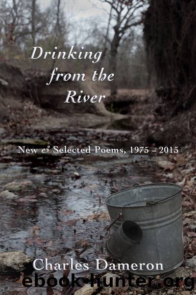 Drinking from the River by Chip Dameron