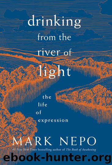 Drinking from the River of Light by Mark Nepo