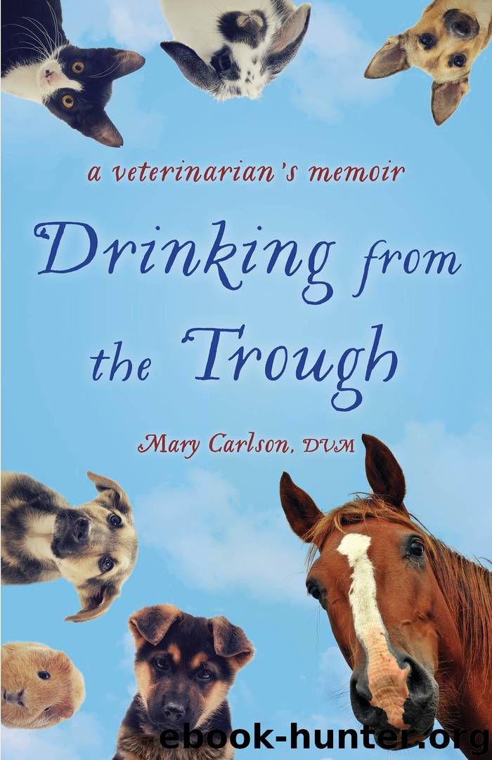 Drinking from the Trough by Mary E. Carlson DVM
