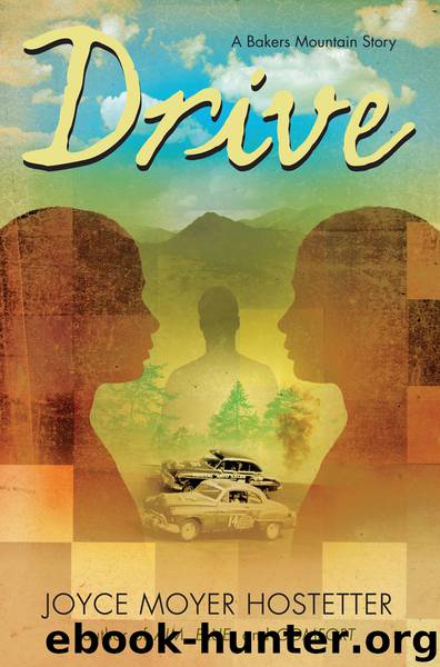 Drive by Joyce Moyer Hostetter