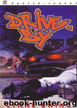 Drive-By by Lynne Ewing