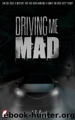 Driving Me Mad by L.T. Smith by L.T. Smith